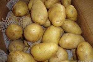白心土豆和黄心土豆,营养上有区别吗?告诉你日常炒菜,选哪一种