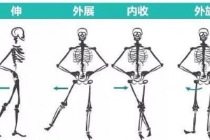 6大方位12个动作全面灵敏髋关节
