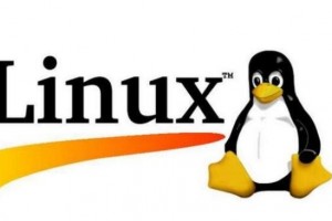 详解LinuxShell脚本编写技巧附实例说明