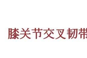 人未老膝先衰医生记住3个细节能让膝盖用久一点