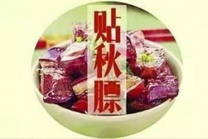 入秋怎么贴秋膘才健康看看专家怎么说