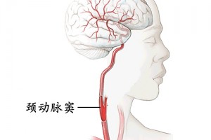 嘉兴人注意人体这个地方千万别乱碰!