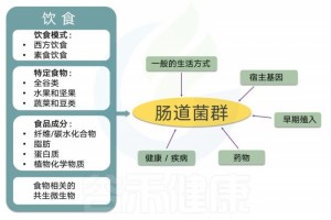 饮食、肠道菌群与健康