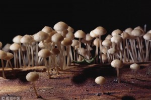 癌症病人要如何饮食这4个误区踩不得及时避开