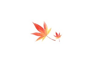 精神疾病秋季高发期如何预防很关键!