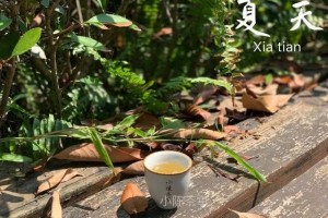 传说中的荒野白毫银针饼它存在于世间吗