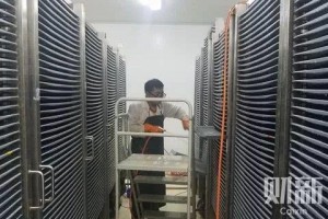 蚊子工厂每周生产1000万只广东人买不买
