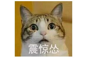 粥面条猴菇真正的养胃秘方竟然是它