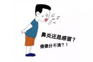 又双叒叕感冒了不!那可能是鼻炎!