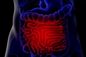 不想得肠癌远离5种肉8种食物是肠道环卫工无妨多吃点