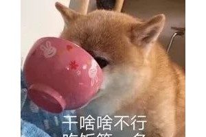 小儿推拿课堂▏有了这份助消化锦囊国庆大餐吃起来吧