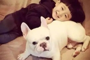 孩子被狗狗咬伤了怎么办打狂犬疫苗有那些需要注意的