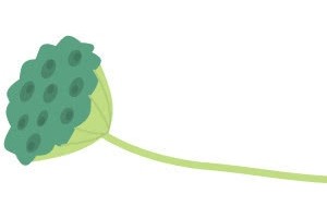 部分腐烂的水果剩下的还可以吃吗