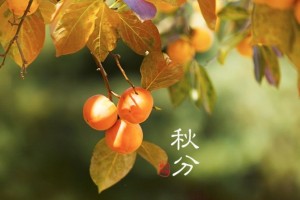 【养生】秋分不养一年白忙学好这几招入秋少生病
