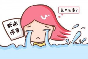 胎停育一定是女性的问题胎停后多久可以再怀孕