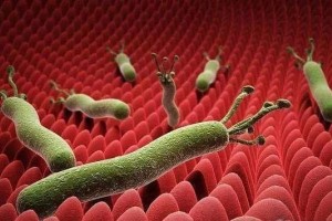 一人感染传全家养成4个好习惯与8亿国人携带的致癌物说再见