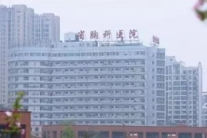 七十年磨一剑铸就湖南结防事业绚丽篇章