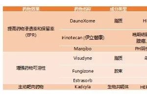 解读纳米医疗纳米药物正在成为制药领域的新宠