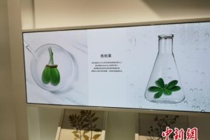 云南神奇植物助企业发展生物医药产业