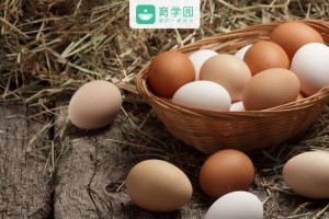 鸡蛋鸭蛋鹅蛋鹌鹑蛋到底哪种蛋更有营养答案是……