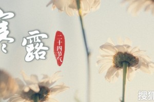 寒露饮食推荐首选大闸蟹~