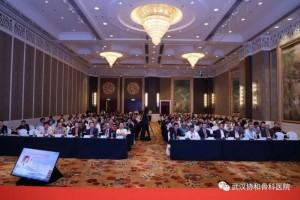 热烈祝贺第二届武汉协和关节骨科高峰论坛在江城武汉顺利召开