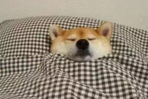 床太软对腰不好