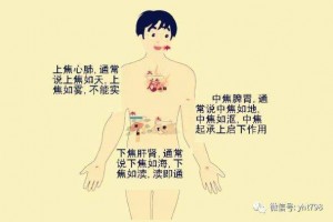 金圣莱共同的摄生了解