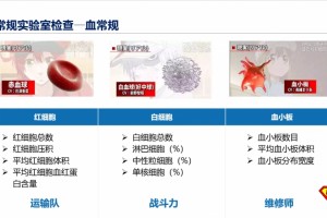 体检中的血液查验报告单要点应重视哪些项目