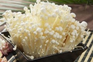 很有养分的3种食物美容摄生减缓变老女人要多吃