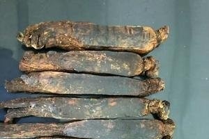 高丽参放了20年把家人都吓坏了