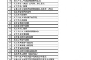 武汉市第一批国家DRG付费试点单位出炉江城74家医疗机构在列
