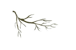 追根溯源走进益生菌的宿世此生