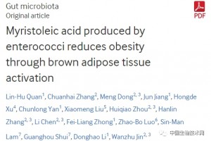 动物所等发现新一代瘦身药物候选靶点