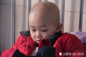 5岁男孩突患白血病亲属不如再生一个