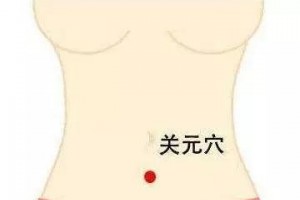 寻经问穴关元穴多用于泌尿生殖系统疾患