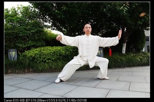 尽管练陈式太极拳的长命白叟确实许多但也有一部分人并不长命为什么呢