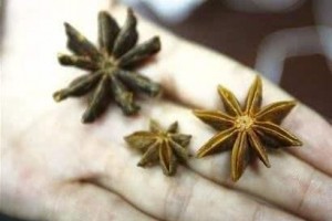 莽草跟八角十分相像但不同的是莽草有毒看看你家的厨房有没有