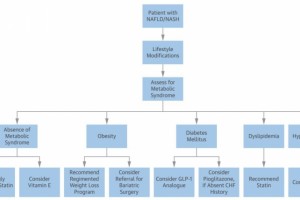 他汀是保肝药JACC总述称脂肪肝患者应该吃他汀管理应相似糖尿病