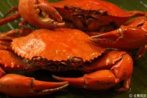传说中的这四种相克食物其实能够彻底定心吃