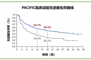 中国内地首个PDL1抗癌药上市激活免疫系统然后对立癌症