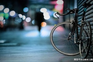大巴司机将乘客遗落服务区女乘客为追车高速上被撞身亡