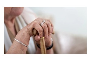 科学家发现一种与变老相关的要害蛋白质