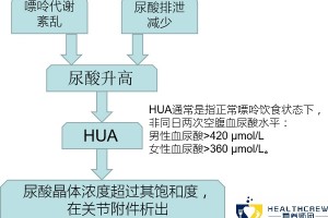 戒不掉的肉和酒留神痛风找上门