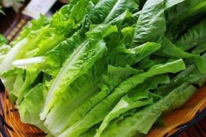 对女性很好的四种食物坚持吃一些淡斑去皱坚持肌肤弹性