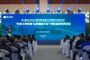 杏林大师峨眉论道共话中医门户传承