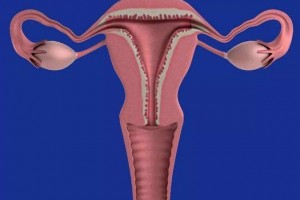 女人冬季多吃这三种生果协助子宫排毒身体更清新