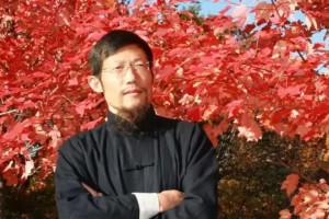 从胡万林到萧宏慈为什么神医总会有商场
