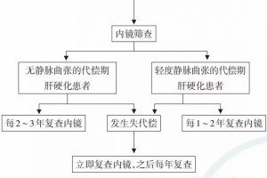肝硬化门静脉高压症食管胃底静脉曲张决裂出血诊治专家一致