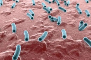 重复感染幽门螺杆菌是怎么回事食疗无用有哪些医治办法